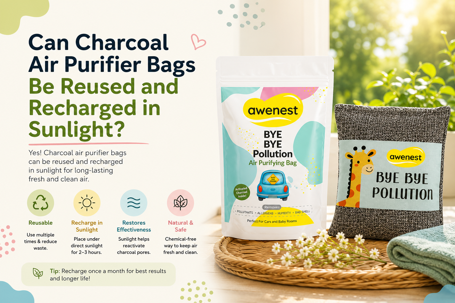 Can Charcoal Air Purifier Bags Be Reused and Recharged in Sunlight