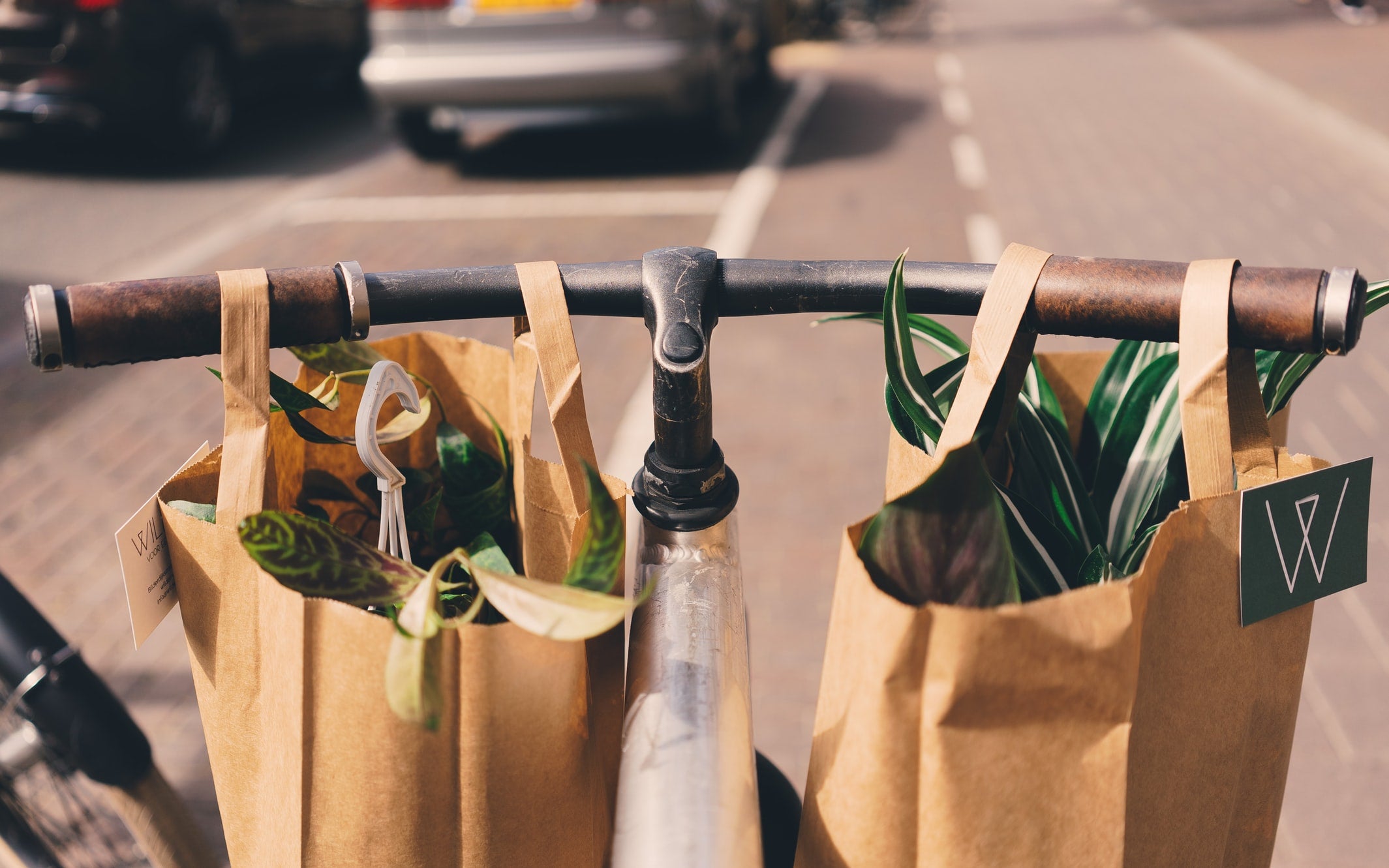 want to give up plastic but confused? here are alternate packaging solutions!