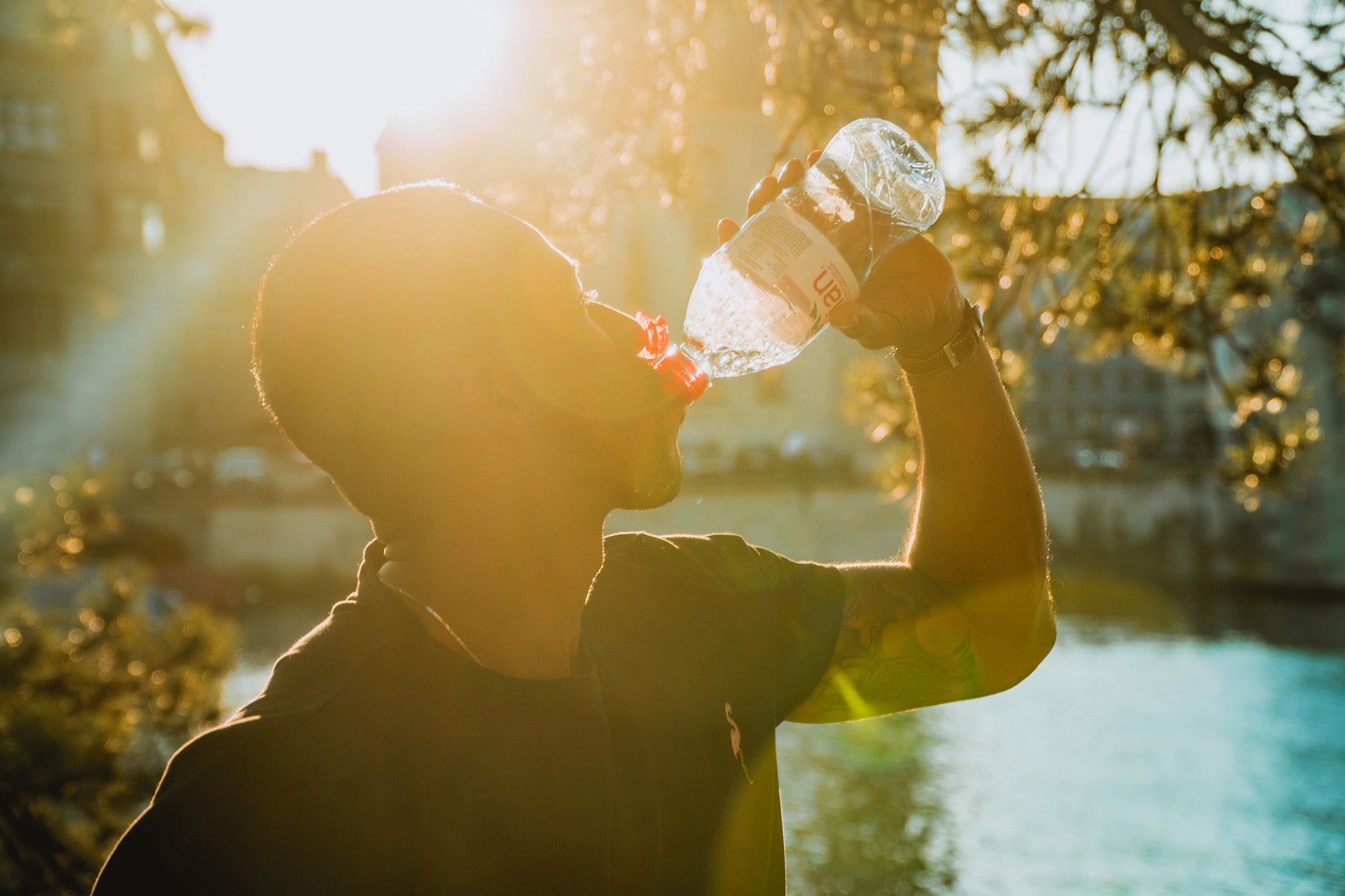 plastic bottles: disrupting your health, one sip at a time!