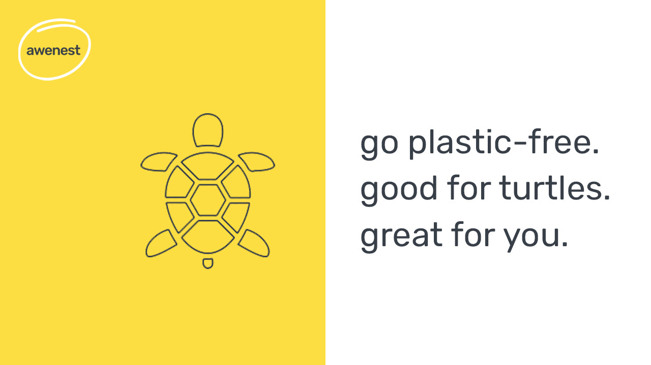 minimize plastic, save turtles and your childhood memories!