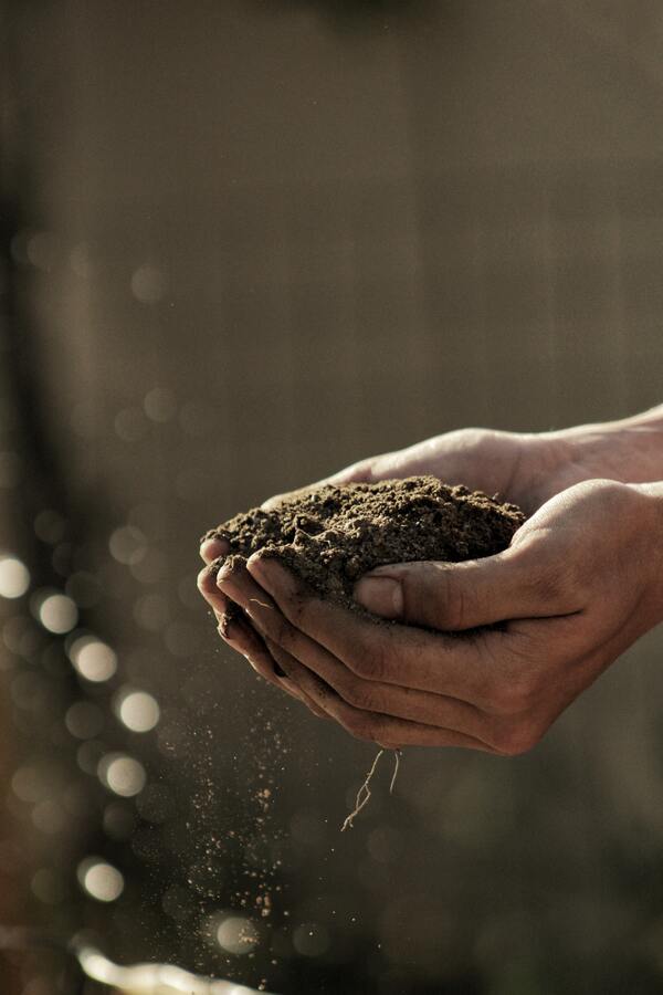 What is soil health and how as a consumer can we save it? 