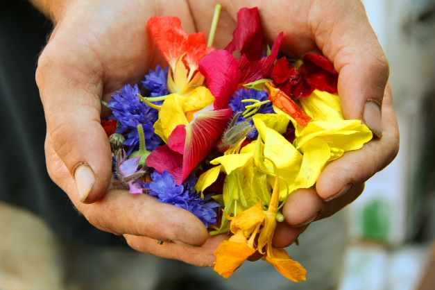 This Kali Chaudas - get rid of the real evil “Plastic”