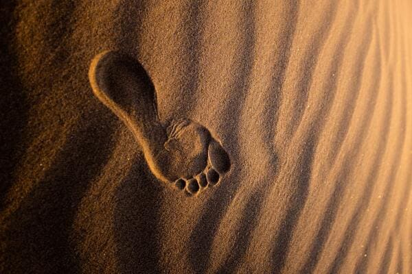 6 ways to reduce your carbon footprint