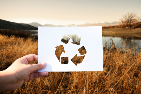 5 Interesting Facts about Sustainable Living!