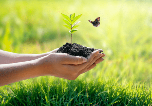 Are you ready to 'Invest in our Planet'? on World Earth Day 2023