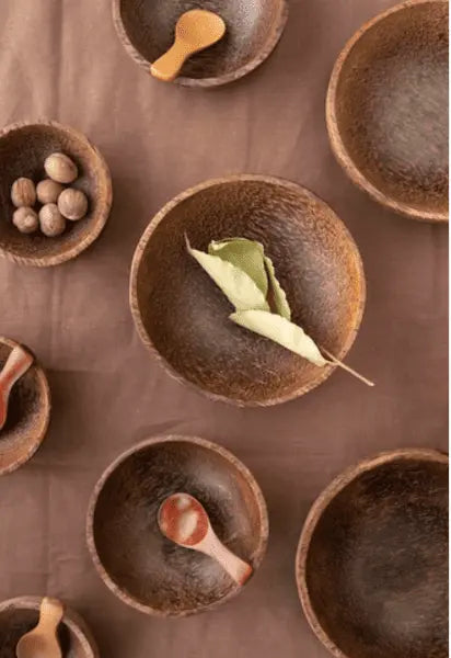 Biodegradable Cutlery Made from Coconut Shell - 5 Reasons to Shift!