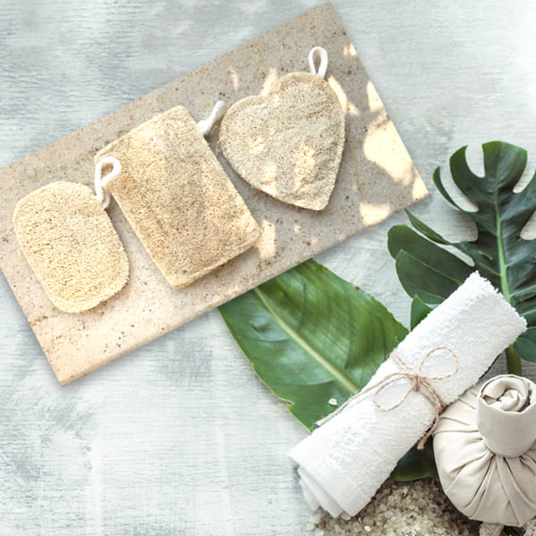Natural sun dried loofah luffa