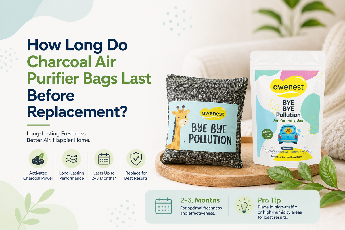 How Long Do Charcoal Air Purifier Bags Last Before Replacement