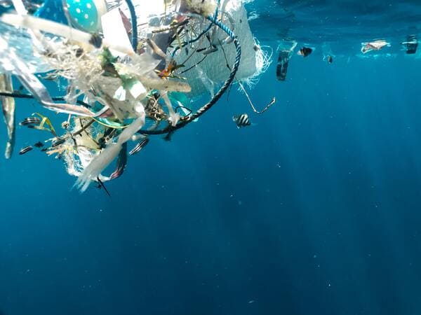 Does plastic in the ocean cause problem for our existence?